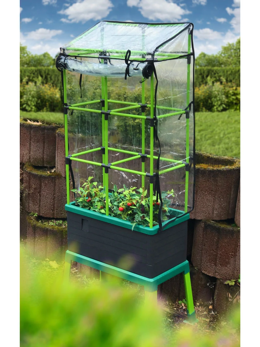 City Jungle® Stand - Image 2