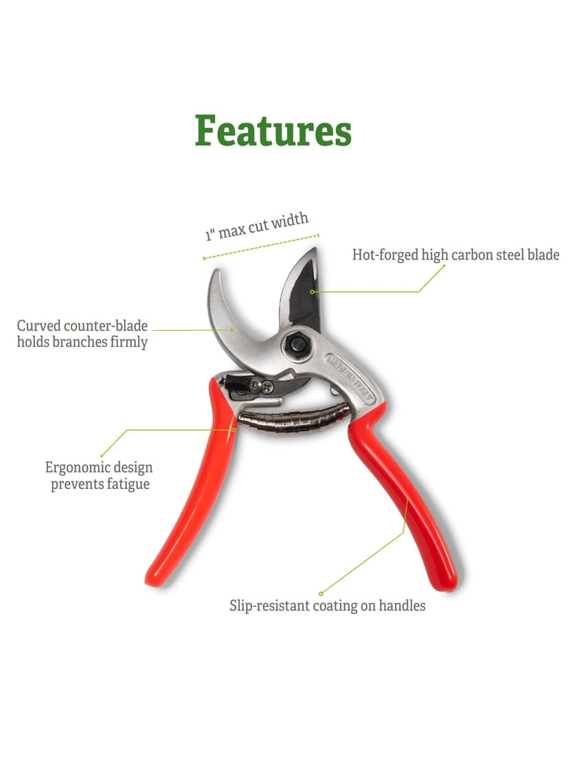 Castellari Mini Anvil Pruner - Image 4