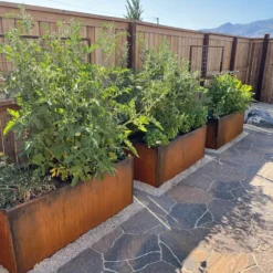 Nice Corten Trough Planters With Trellis