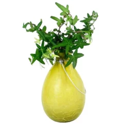 Achla Designs Teardrop Rooting Vase