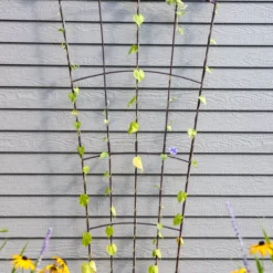 Flock Of Friends Wall Trellis