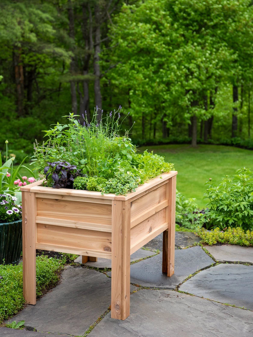 Craftsbury Elevated Raised Beds - Image 3
