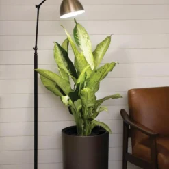 Alden Grow Lamp