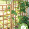 Bamboo Zig-Zag Trellis 24" X 36"