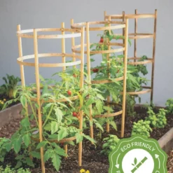 Bamboo Tomato Cages, Set Of 3