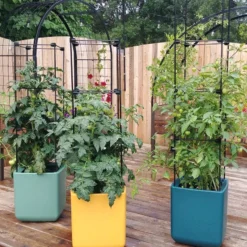 Oasis Self-Watering Tomato Planter With Trellis