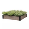 Essential Raised Garden Bed