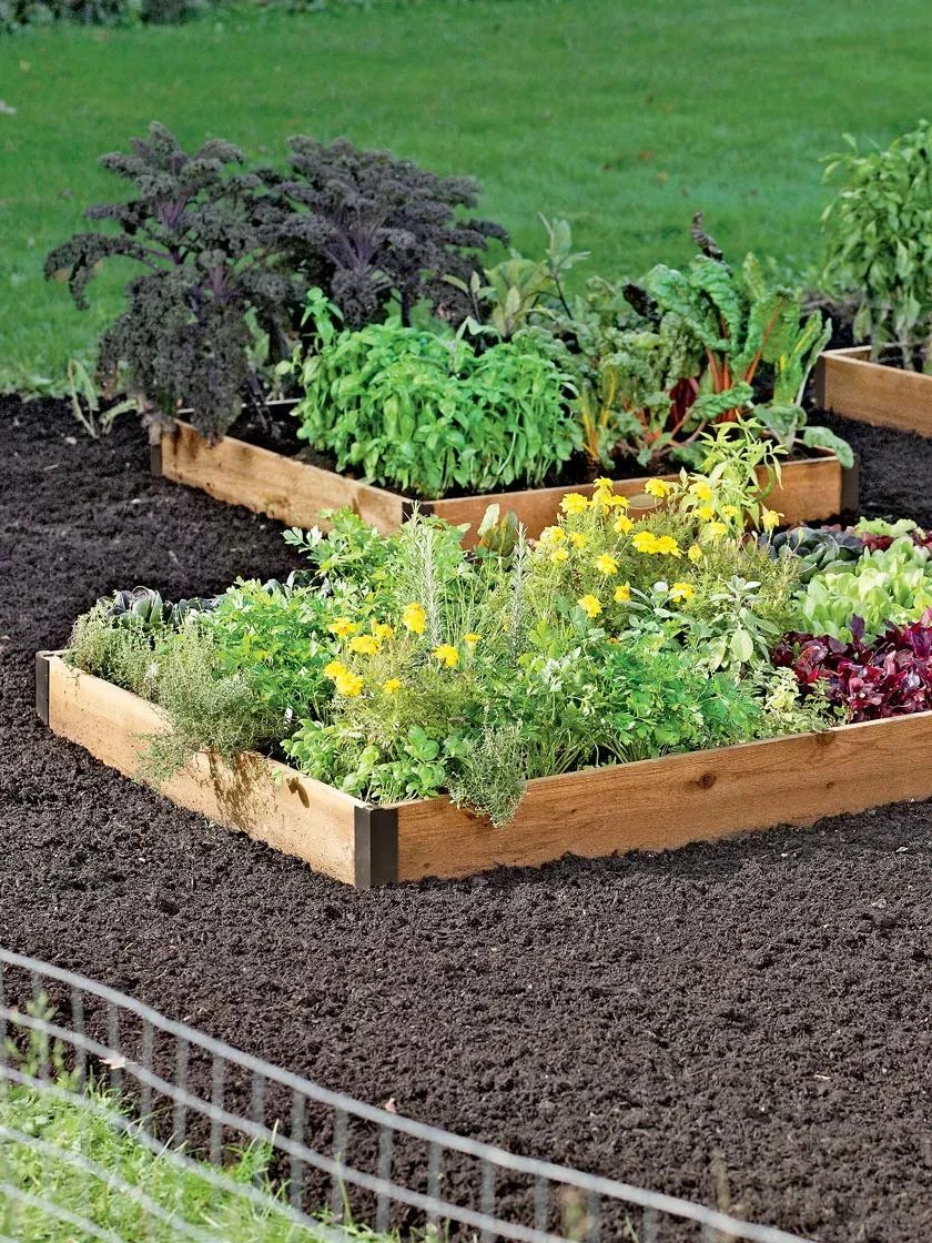 3' Raised Beds - Image 2