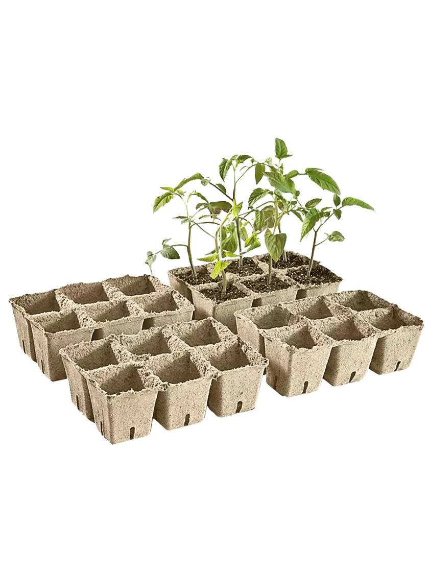 2-3/4" Square Cowpots 6-Packs, Set Of 4 - Image 2