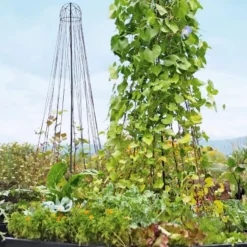 Garden Maypole Plant Support