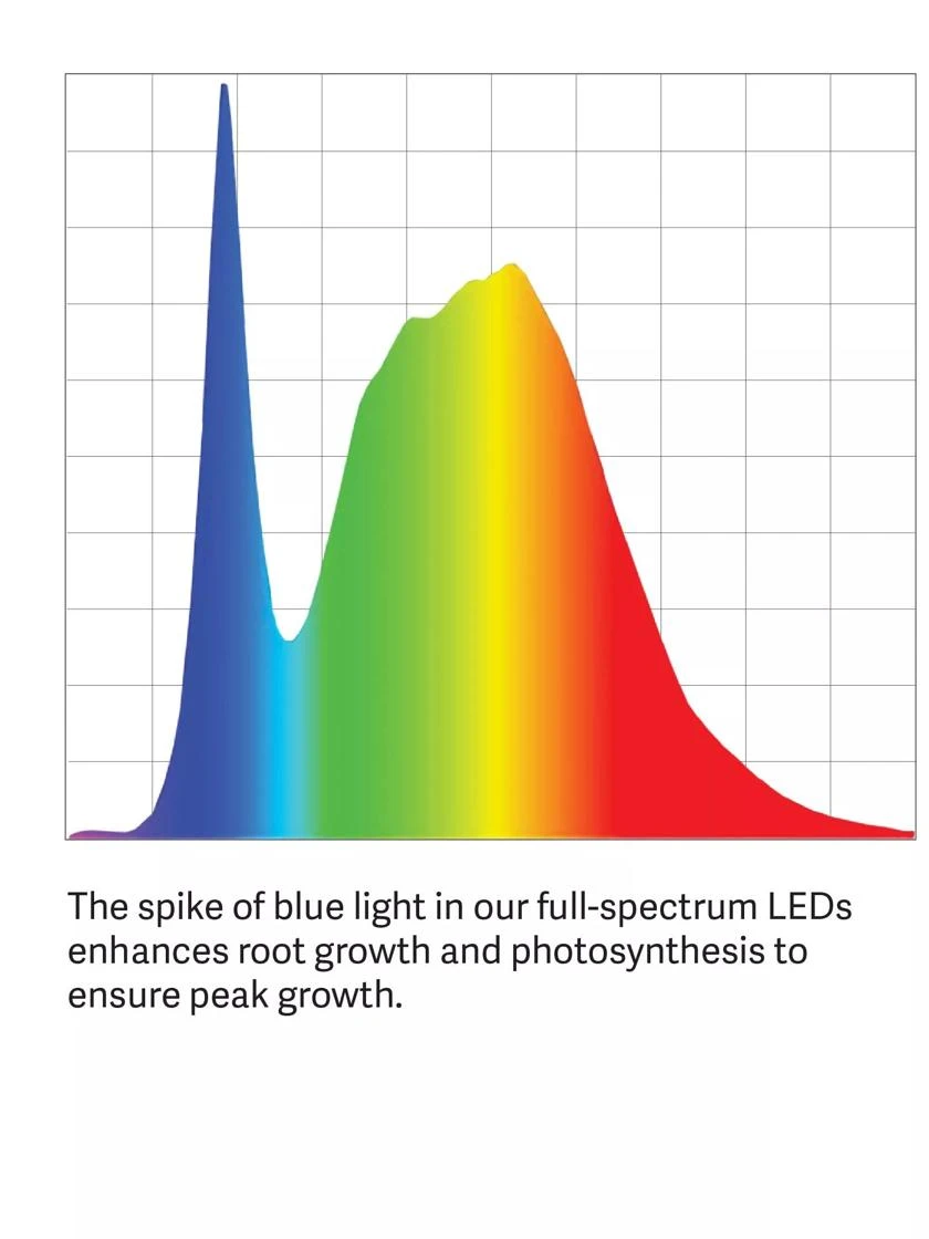 Tabletop Grow Kit - Image 8