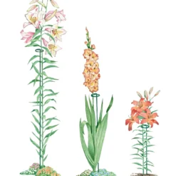 Single Stem Supports, Set Of 3